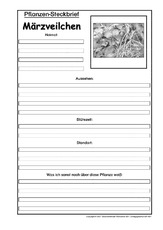 Pflanzensteckbrief-Märzveilchen-SW.pdf